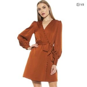 Alexia Admor Burnt Orange Long Sleeve Dress